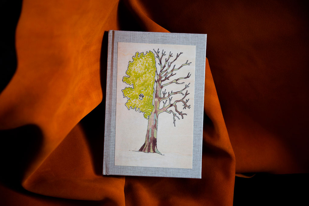 cartotecnica-alberi